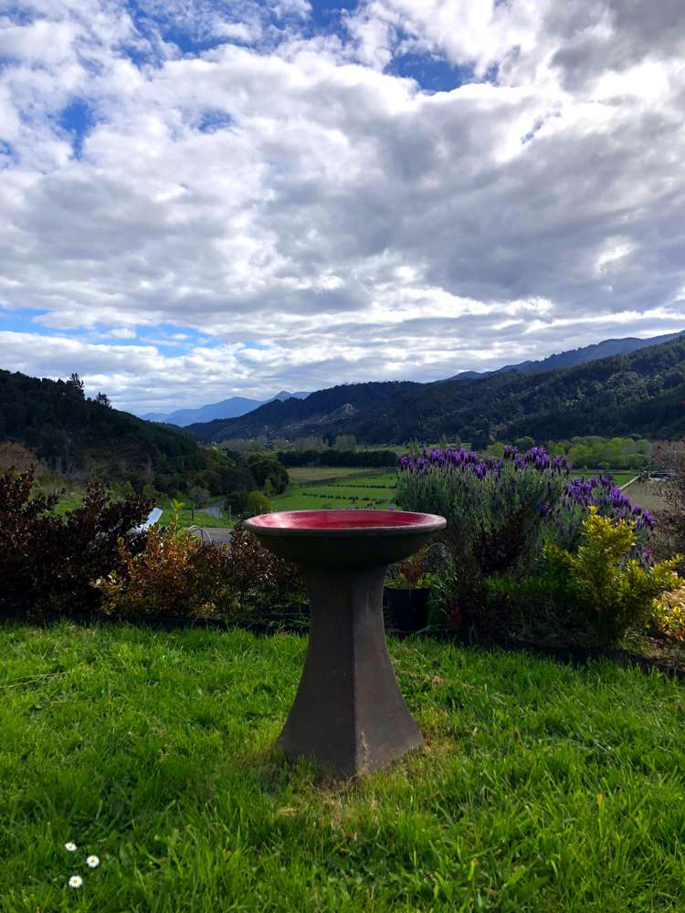 9 Wharua Tiro Place Motueka_11