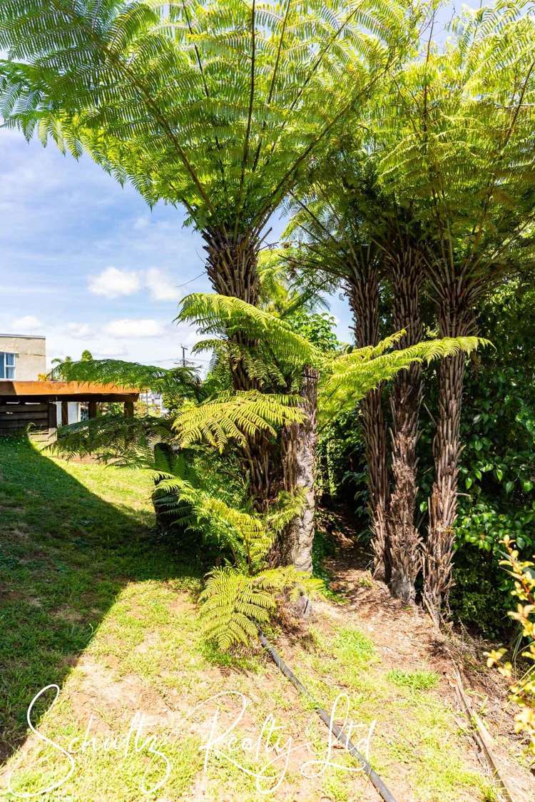 21 Ngatoto Road Tinopai_8