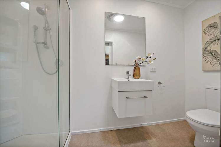 51 Wingate Street Avondale_8