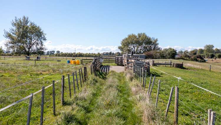 11 Hapuakohe Road Tahuna_4