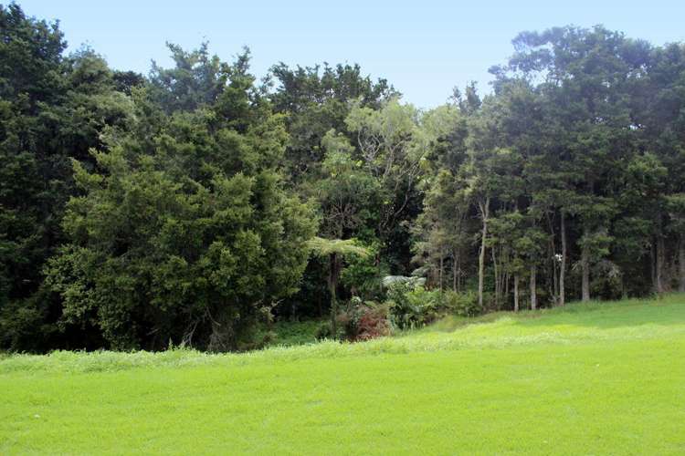 28 Hancock Grove Mangawhai_12