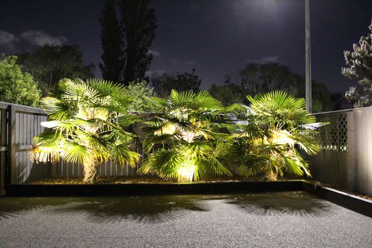 50 Lake Terrace Road Burwood_28