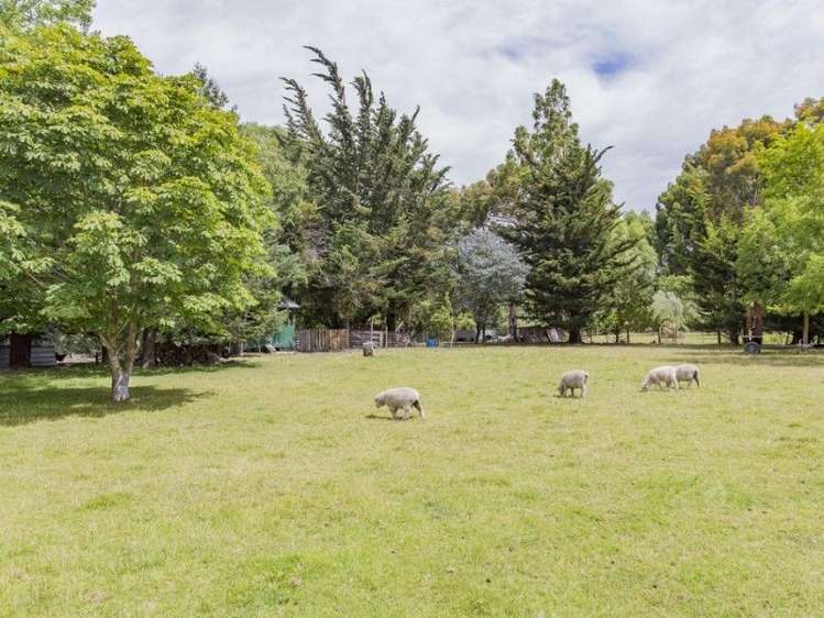 41 Max Wallace Drive Ashley_14