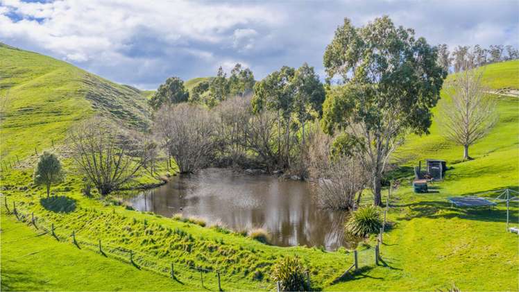 418 Tikokino Road Waipawa_5