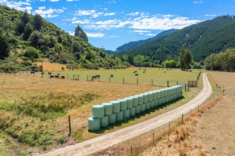 407 Onamalutu Road Wairau Valley_6