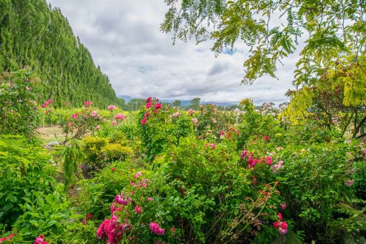 213 Chaytors Road Spring Creek_9