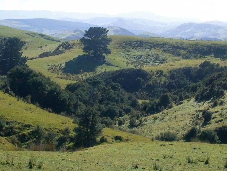 419 Spur Road Pongaroa_24