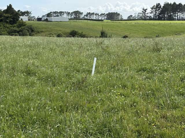 300 Opunake Road Cardiff_1