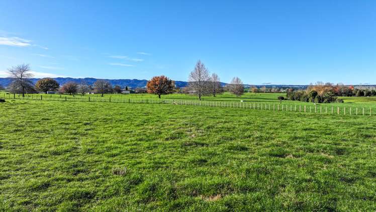 Lot 2/103-766 Okoroire Road_5