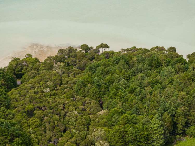 Kenepuru Head Marlborough Sounds_8