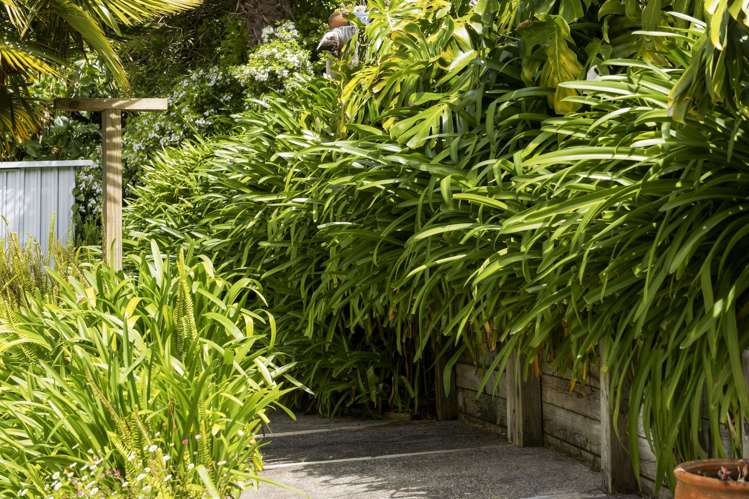 24 Anchorage Grove Maungatapu_60