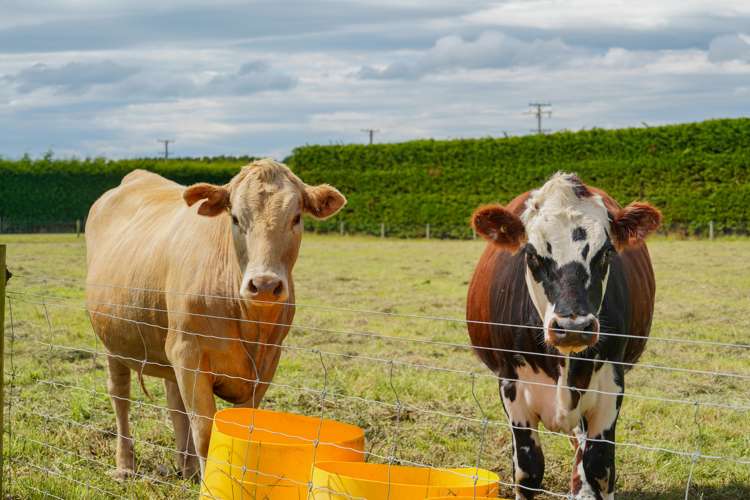 53 Steel Road West Plains_27