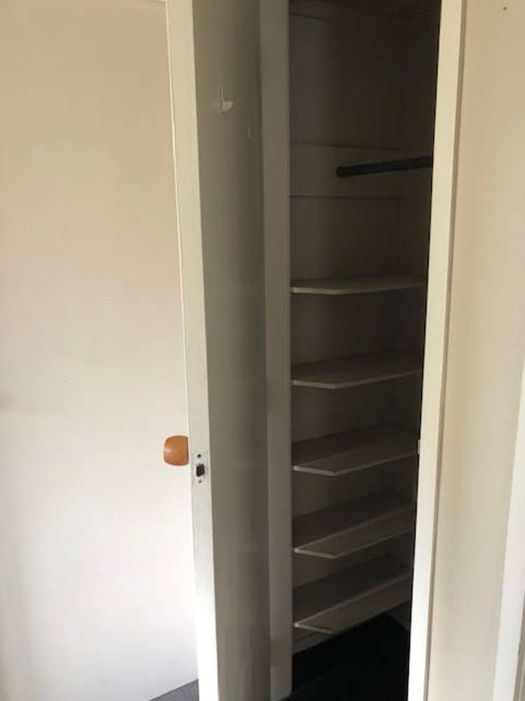 157c Nixon Street Hamilton East_15