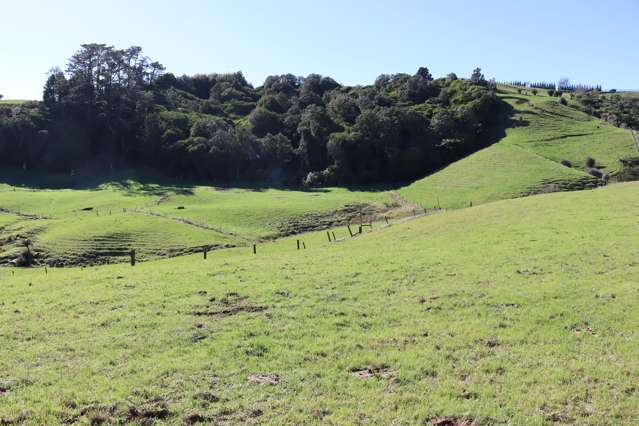 344 Hursthouse Road Inglewood_4