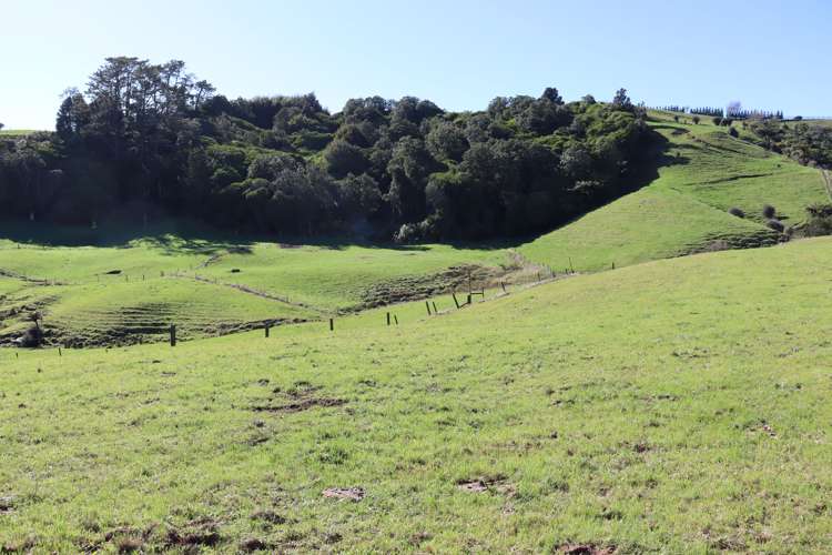 344 Hursthouse Road Inglewood_4