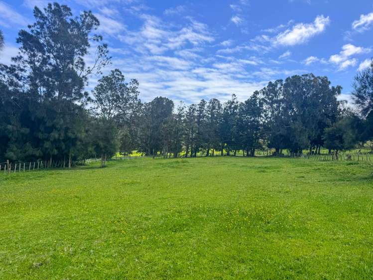 89 Hamilton Road Waimauku_23