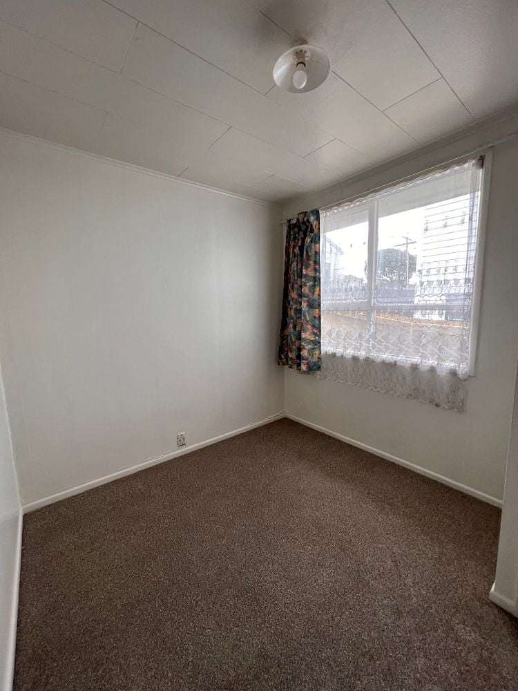 15 Beagle Avenue Mount Albert_6