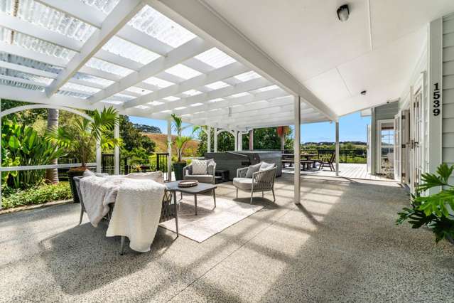 1539 State Highway 16 Helensville_3