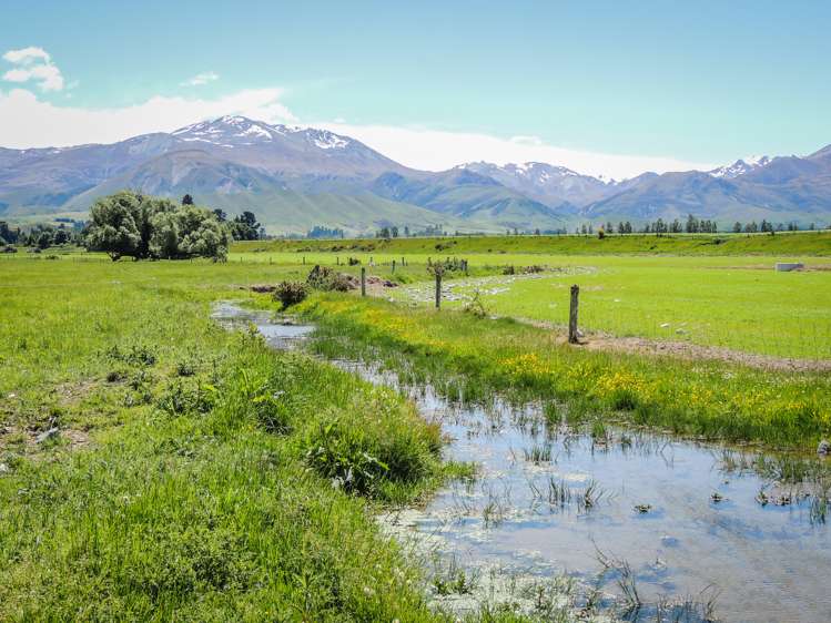 Hamilton Road Fairlie_17