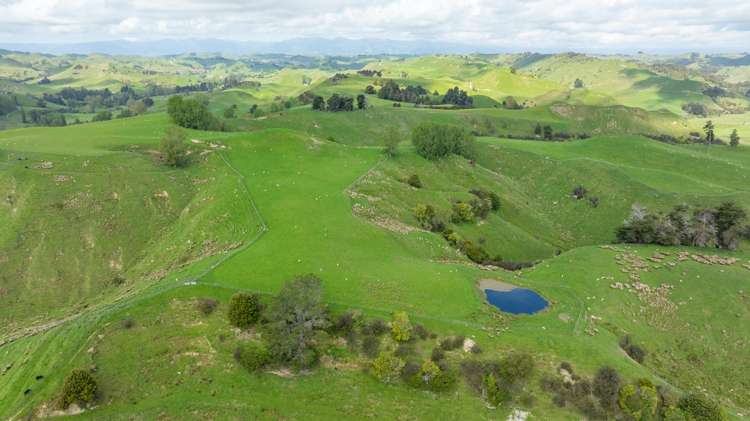 1163 Mangamako Road Ohingaiti_30