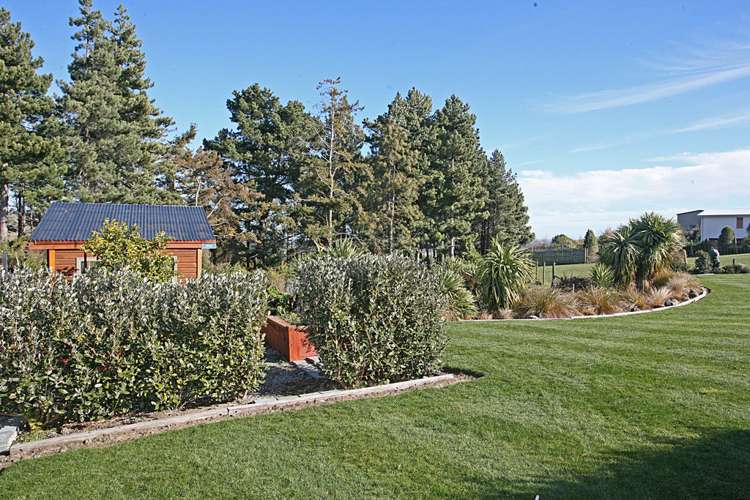 7 The Ridge Kennedys Bush_40