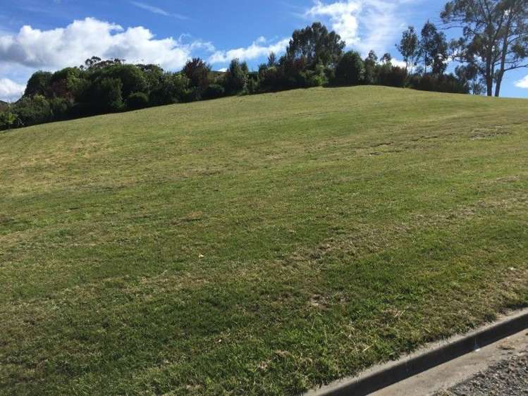 7 Fantail Heights Picton_0