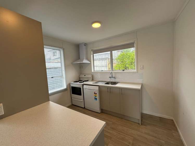 53 Gallony Avenue Massey_6