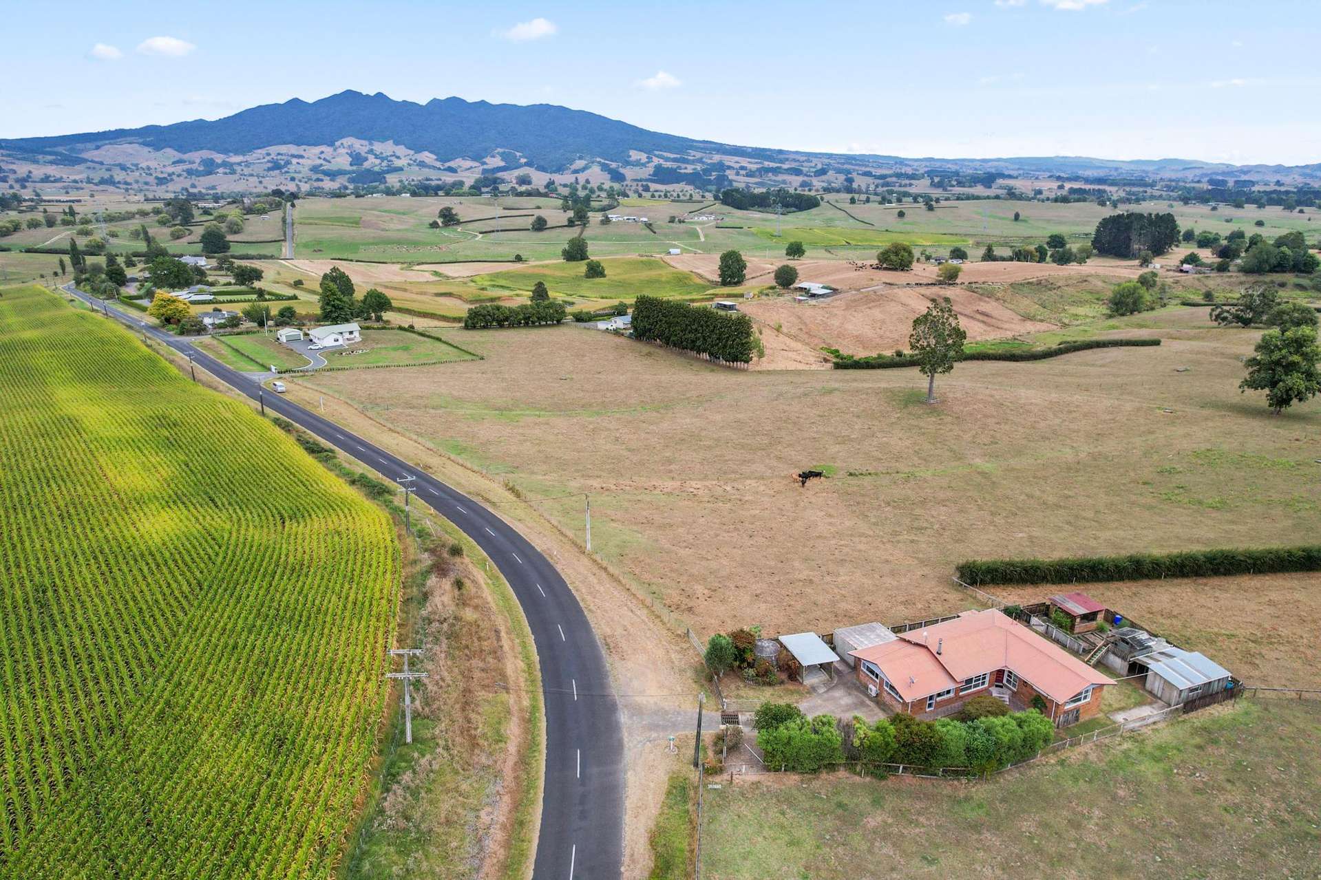 294 Bell Road Pirongia_0