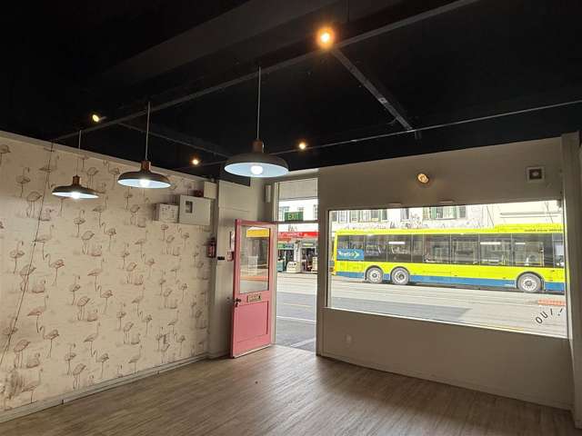 142 Riddiford Street Newtown_3