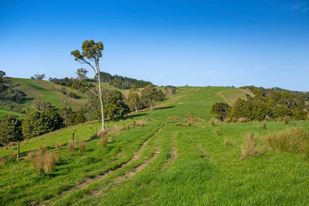 Lot 19 Anderson Road_4
