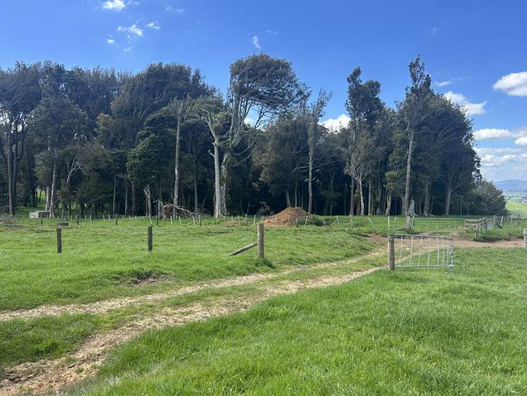 870 Mangati Road Pirongia_32
