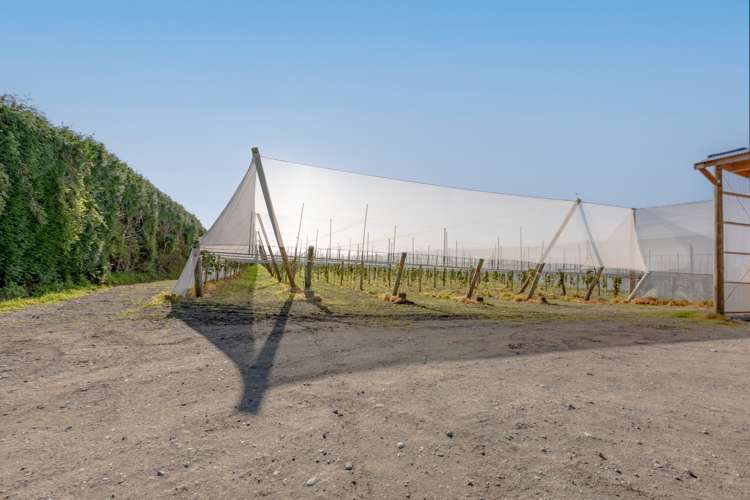 71 Franklin Road Central Hawkes Bay Coastal_6