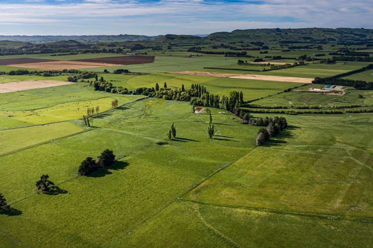 3637 State Highway 2 Takapau_11