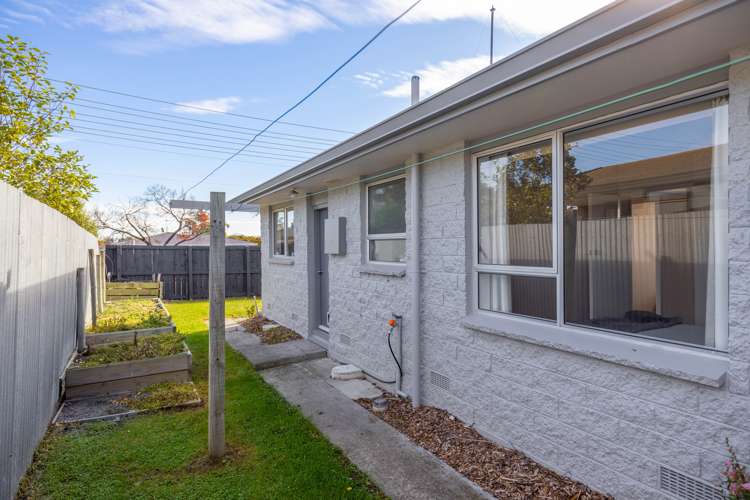 205a Weld Street Witherlea_11