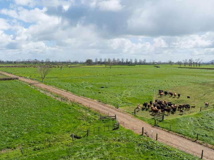 353 Maiseys Road, Waharoa Matamata_7
