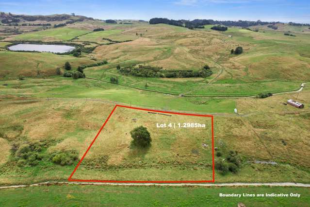 Lot 4-159 Renown Road Waikokowai_1