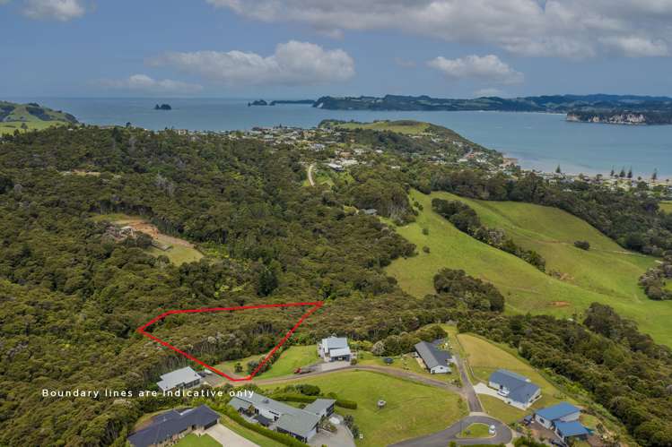 7 Tironui Place Whitianga_0