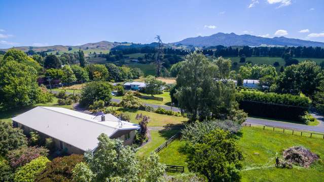 101 Parry Street Pirongia_1