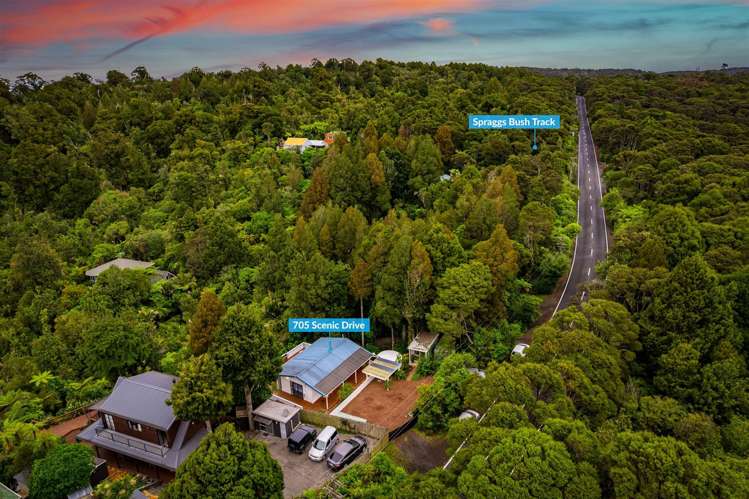 705 Scenic Drive Henderson Valley_20