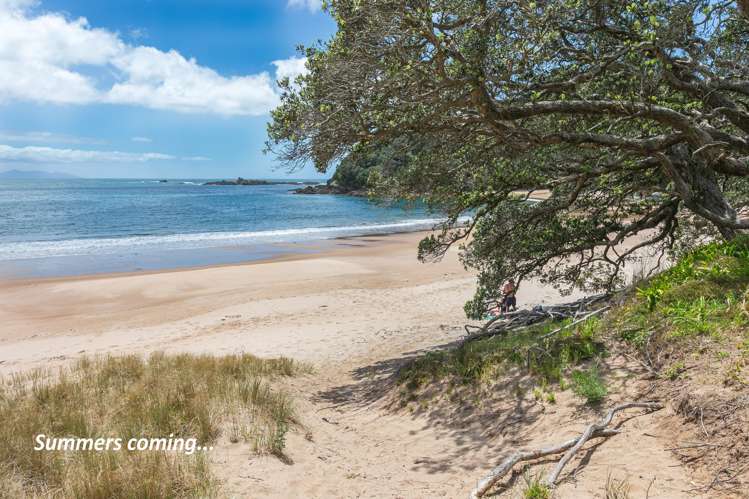 986 Tuateawa Road Coromandel_22