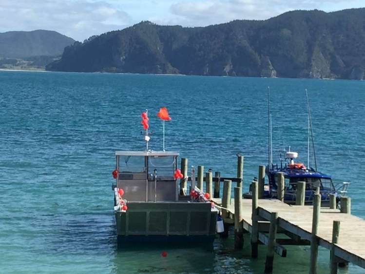 190 Pacific Ocean, Slipper Island (Whakahua) Thames_62