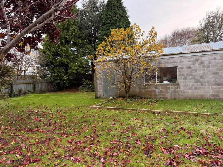 155A Layard Street Windsor_11