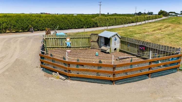 661 Manaia Road Manaia_34