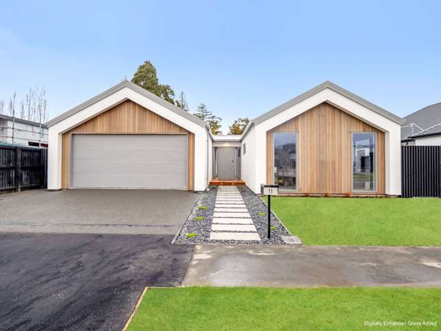 Brand-New Brilliance in Meadow Stream