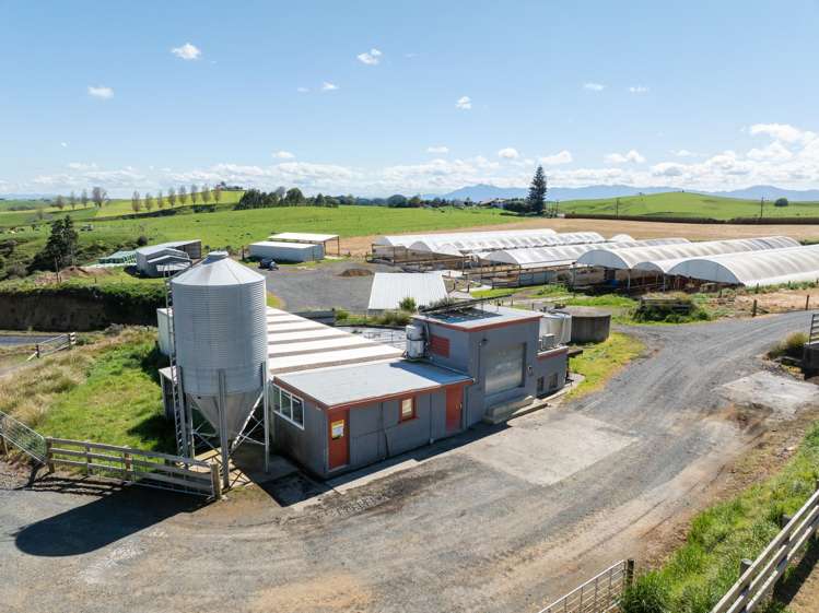 231A Morgan Road Matamata_17
