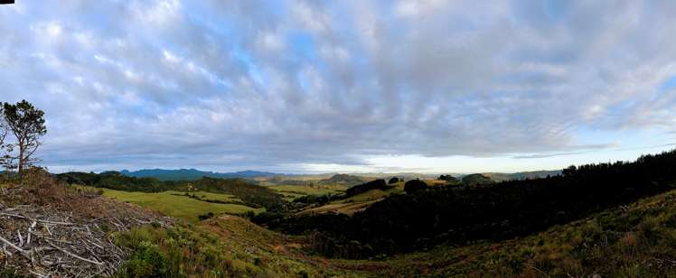 195 Kapowai Road Whenuakite_3