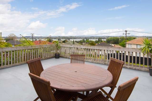 29 Mcculloch Road Panmure_1