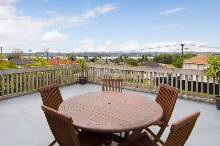 29 Mcculloch Road Panmure_1