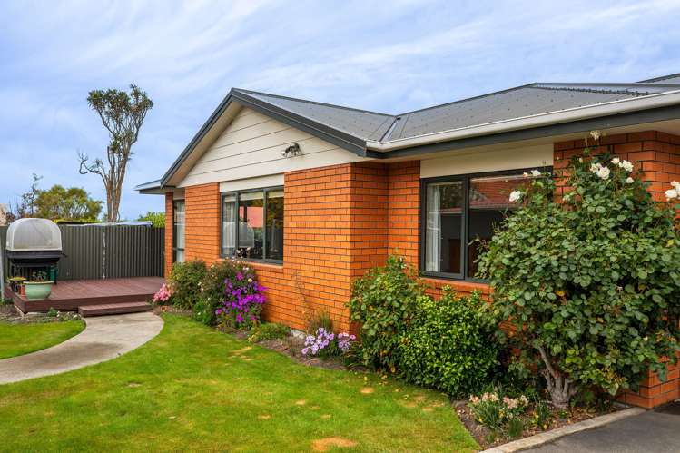 109a Domain Avenue Kensington_22