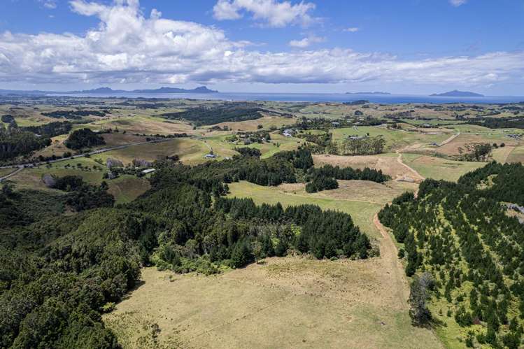 436A Glenmohr Road Waipu_28